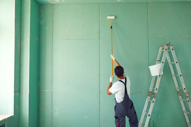 Best Mold Removal for HVAC Installations  in Zeigler, IL