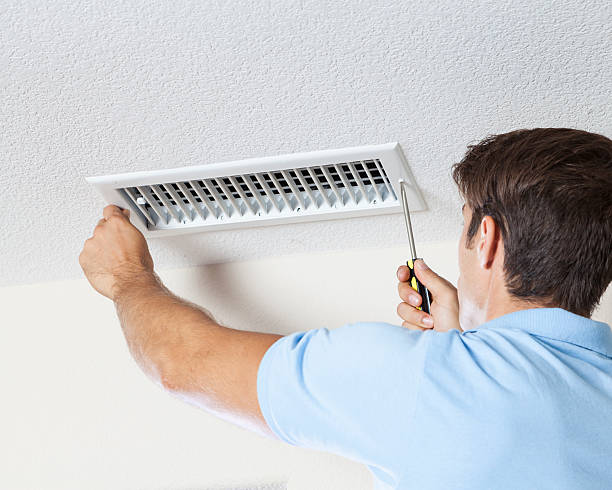 Reliable Zeigler, IL Mold Removal Solutions